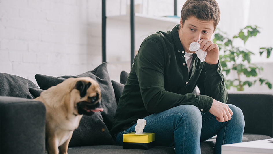 Installing an air purifier is one of the wisest ways to improve your residence’s indoor air quality. Discover more about the three best solutions. 